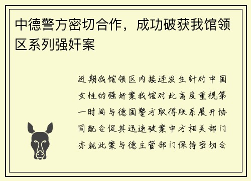 中德警方密切合作，成功破获我馆领区系列强奸案