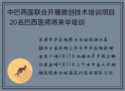 中巴两国联合开展微创技术培训项目 20名巴西医师将来华培训