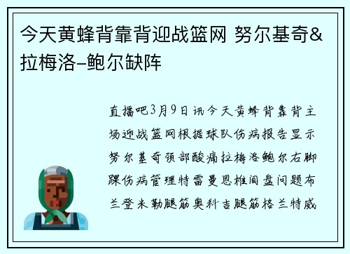 今天黄蜂背靠背迎战篮网 努尔基奇&拉梅洛-鲍尔缺阵